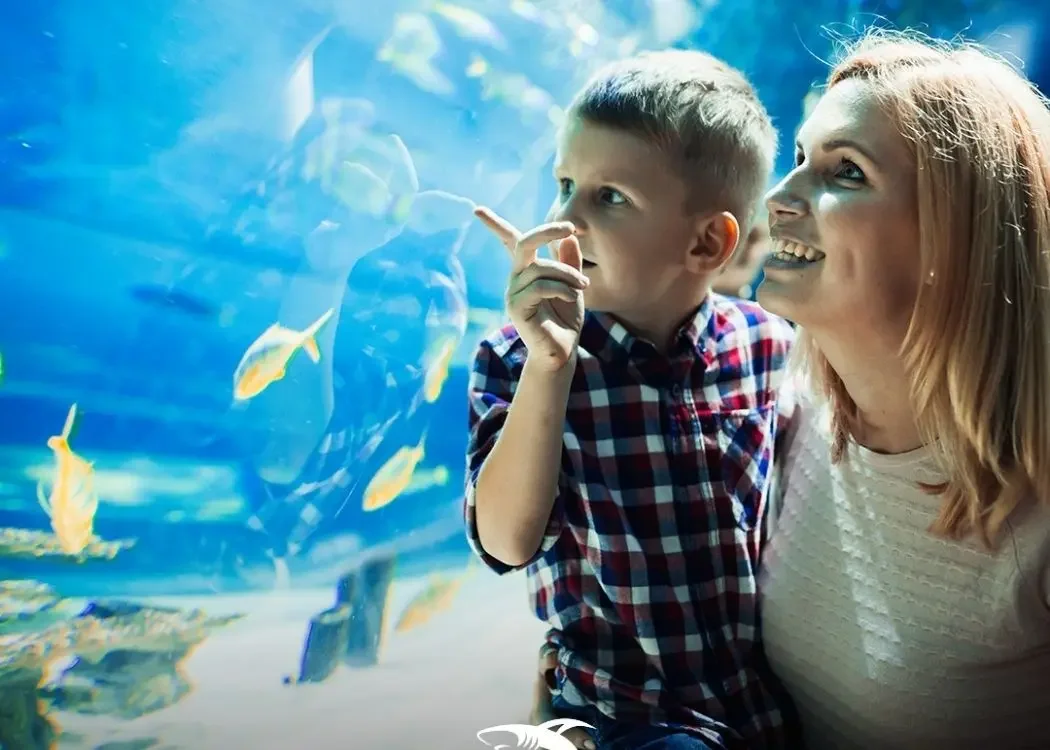 istnewemaar-aquarium-and-underwater-zoo-entrance-ticket-2 在 伊斯坦堡, 土耳其 - 旅遊照片