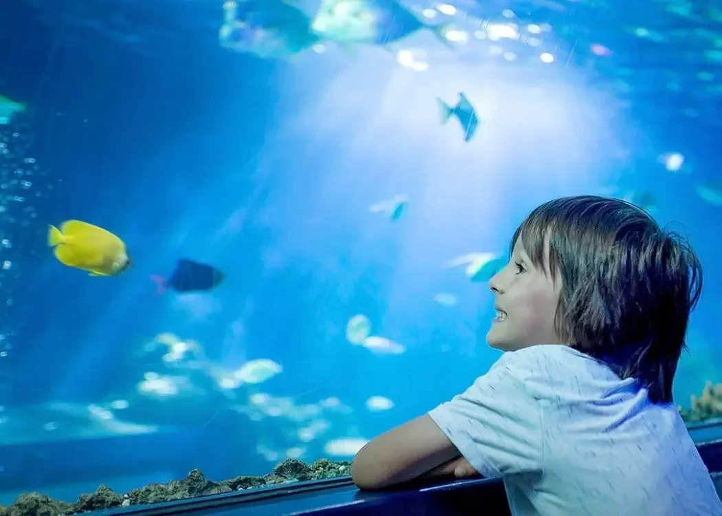 istnewemaar-aquarium-and-underwater-zoo-entrance-ticket-3 在 伊斯坦堡, 土耳其 - 旅遊照片