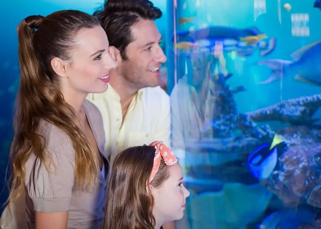 土耳其伊斯坦堡 istnewemaar-aquarium-and-underwater-zoo-entrance-ticket - Tourism Photo