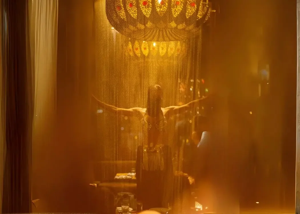 istnewfine-dining-experience-at-nomads-restaurant-bellydancer - restaurant in Istanbul