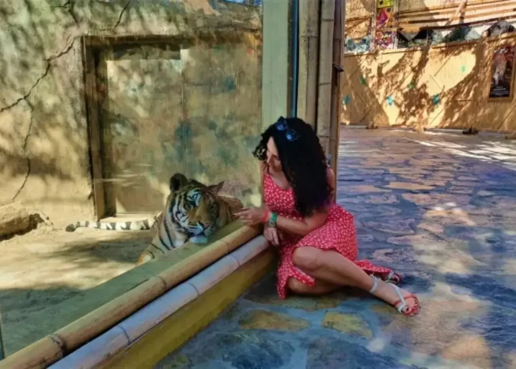 istnewlion-park-aslan-istanbul-tuzla-viaport-marina-puma-tiger-13-1 - Istanbul Turkey