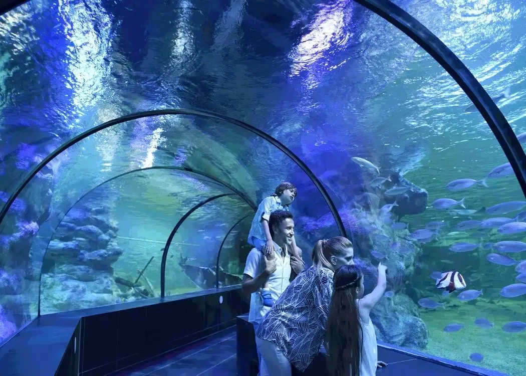 istnewviasea-aquarium-istanbul-viaport-tuzla-marina-shark-akvaryum-6 - 土耳其伊斯坦布爾