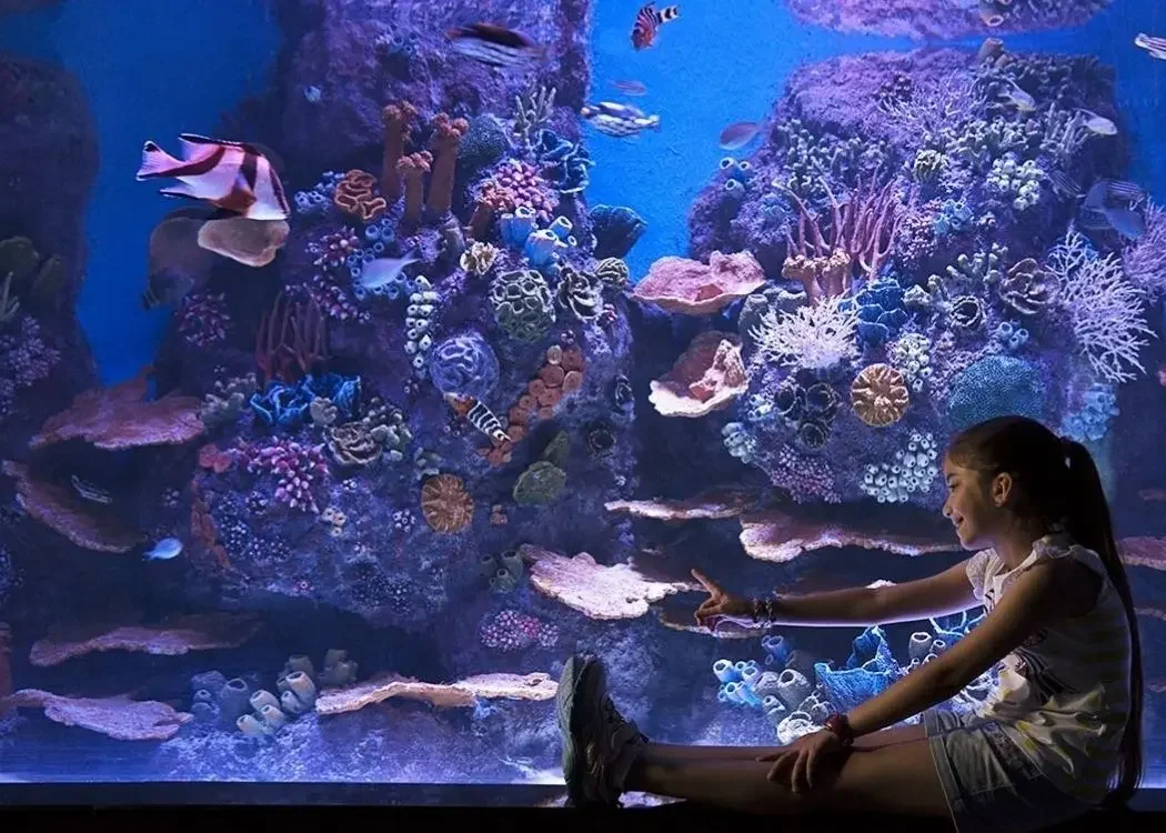istnewviasea-aquarium-istanbul-viaport-tuzla-marina-shark-akvaryum-8 - 土耳其伊斯坦布爾
