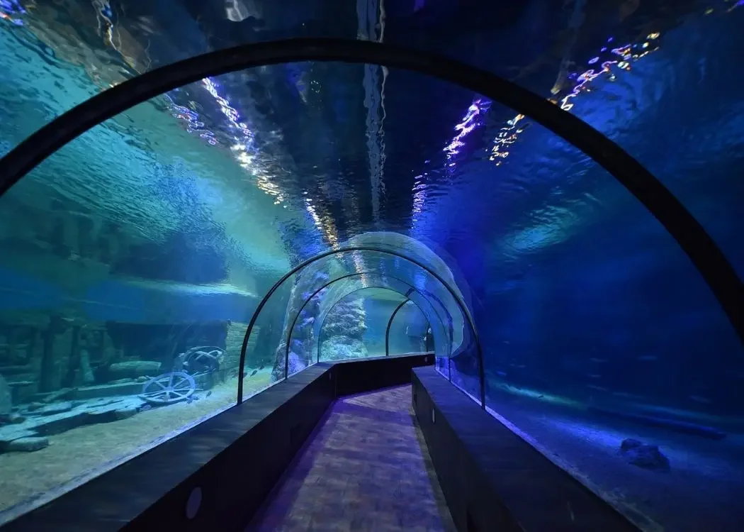 istnewviasea-aquarium-istanbul-viaport-tuzla-marina-shark-akvaryum - 土耳其伊斯坦堡
