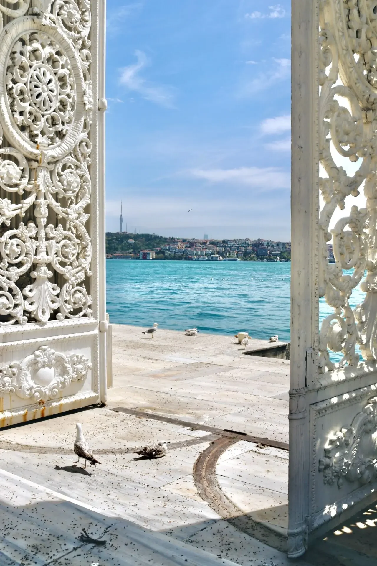 Dolmabahce Palace & Harem Skip-the-Line Entry Ticket with Audio Guide - Image 12