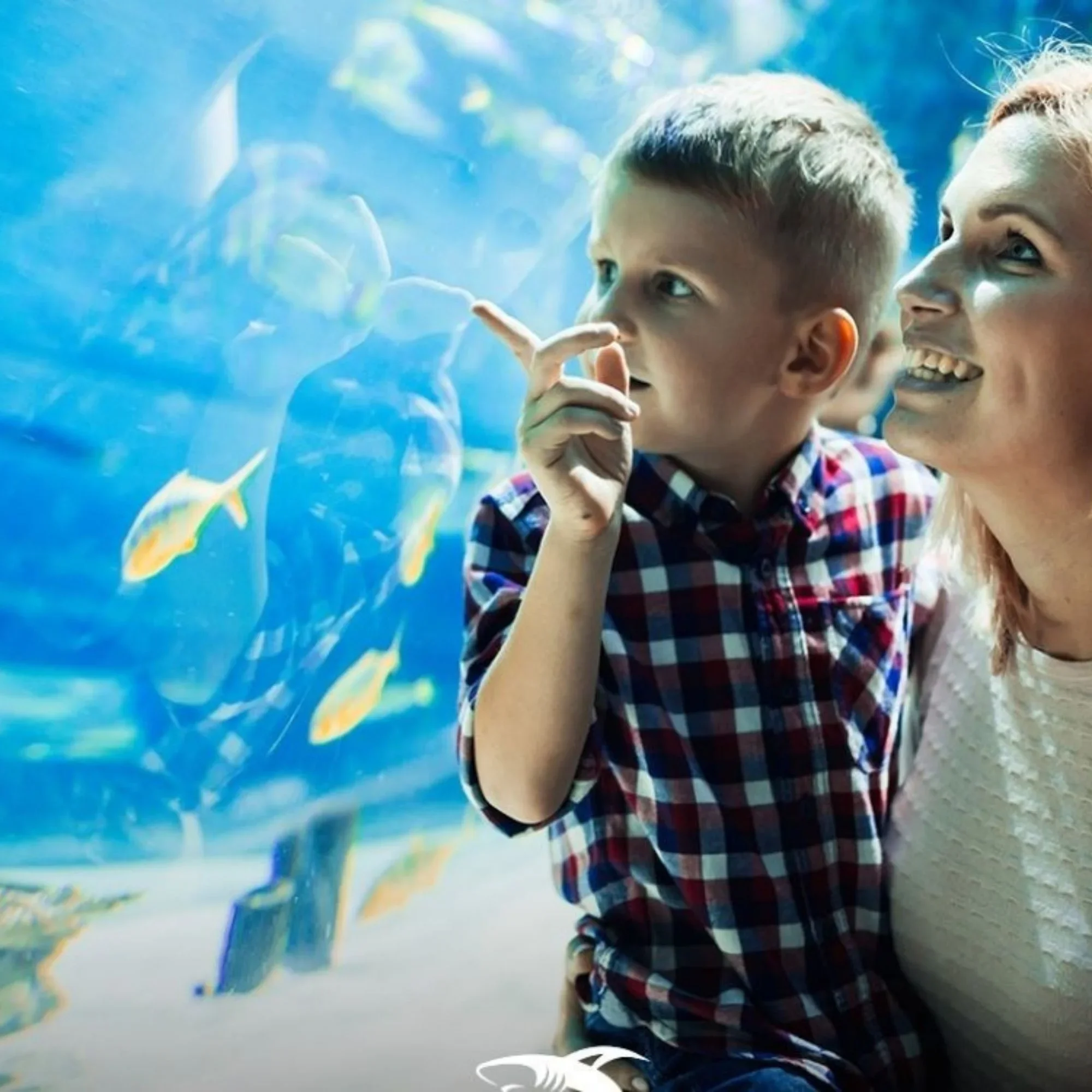 Emaar Aquarium and Underwater Zoo Entry