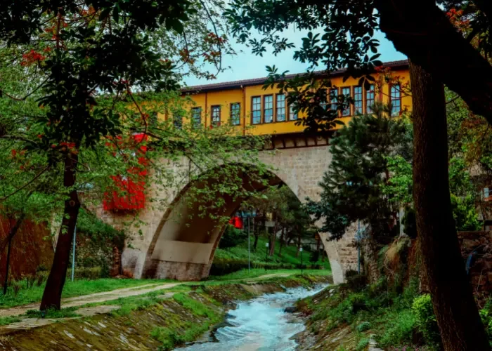 Bursa Day Trip with Historic Market Shopping - Image 3