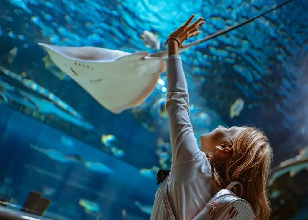 Emaar Aquarium and Underwater Zoo Entry - Image 1