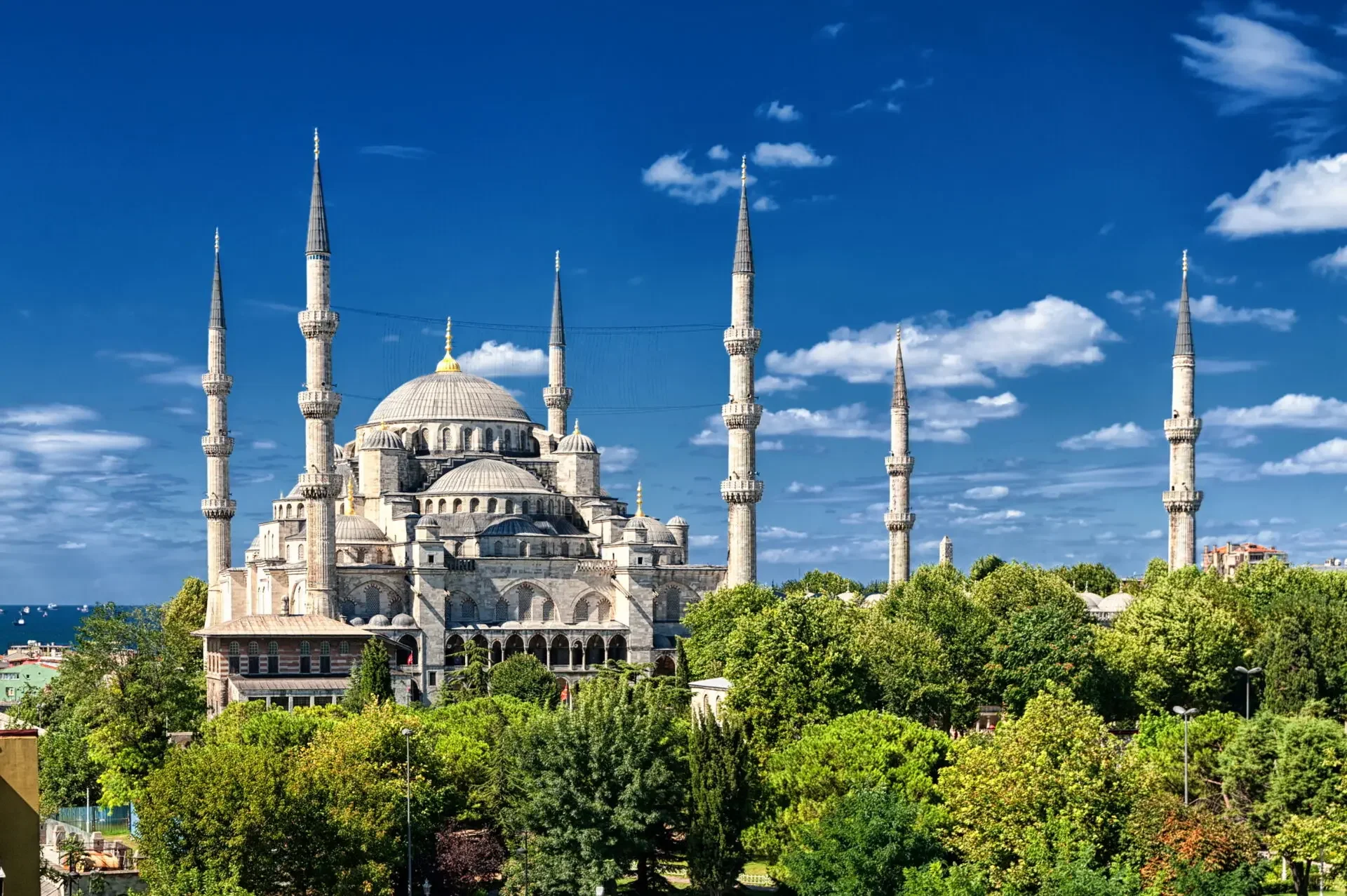 Blue Mosque Guided Tour - Image 4
