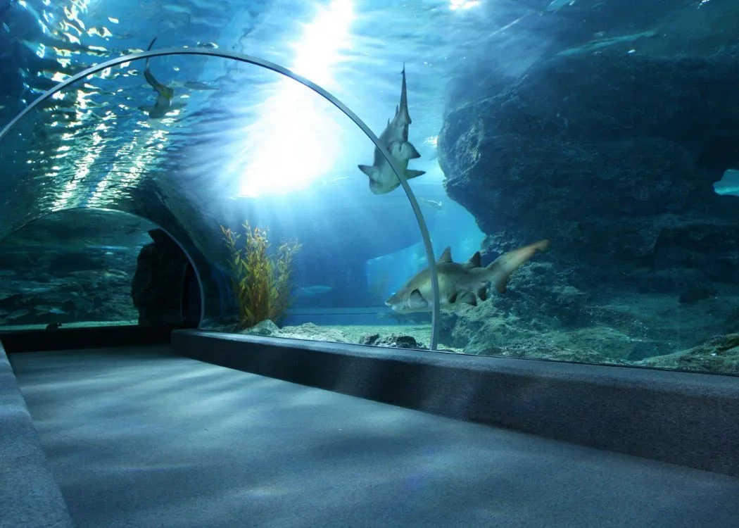 Istanbul Aquarium Entry Ticket - Image 3