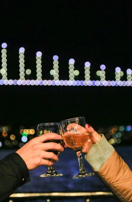 tosunpasa cruise vertical dinner show cruise (2)