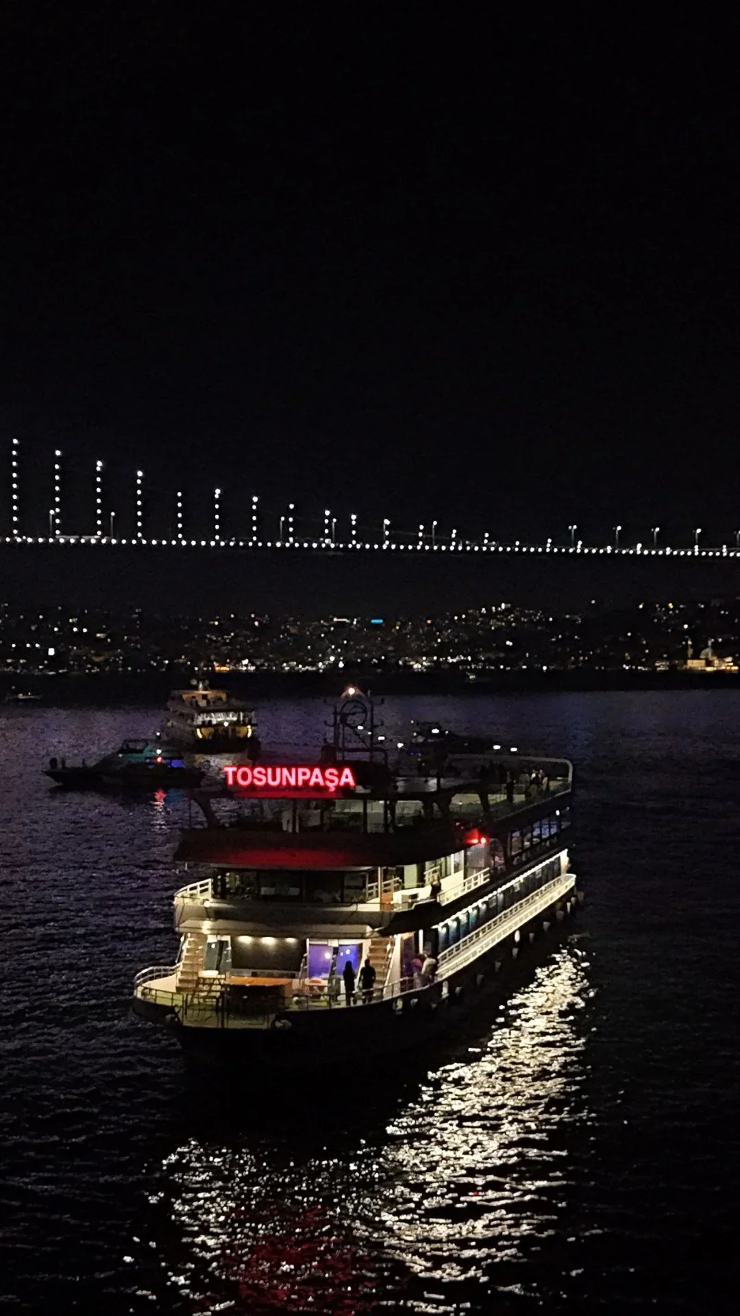 Bosphorus Evening Cruise: Dinner, Live Shows & Private Table