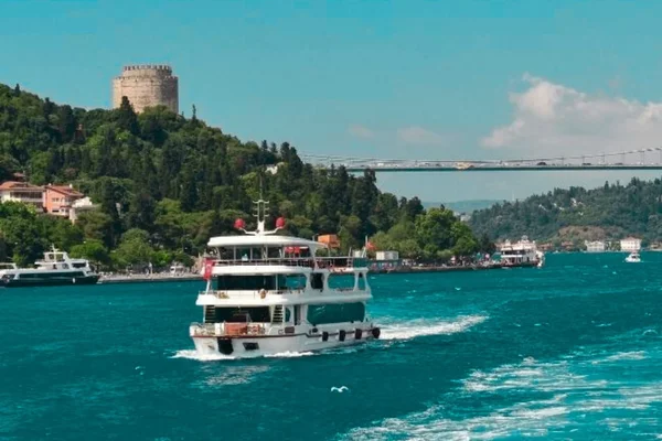 Cruises & Sailing